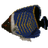xfishtank