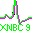 XNBC: neurobiology simulation tool