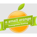 A Small Orange