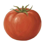 Accounting Ketchup Reviews