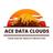 Ace Data Reviews