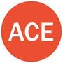 Logo Project ACE Retail POS