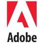 Logo Project Adobe Captivate