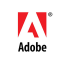 Adobe Team Projects Reviews