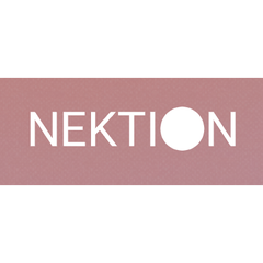 Nektion (Некцион) - Программное Обеспечение Для Управления Портфелем Проектов