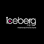 Iceberg Digital Lifesycle Reviews
