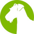 Aireforge Studio