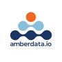Logo Project Amberdata