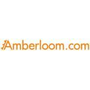 Logo Project Amberloom Website Checker