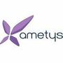 Logo Project Ametys Platform