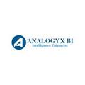 Analogyx BI
