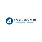 Analogyx BI Reviews