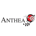 Anthea Art Investments Reviews