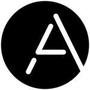 Logo Project Anyline