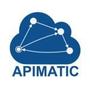 Logo Project APIMatic