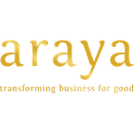 Araya Visitor Analytics Reviews