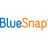 BlueSnap Reviews