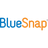 BlueSnap