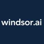 Windsor.ai Reviews