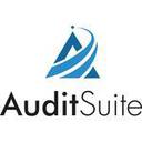 Audit Suite Reviews