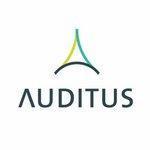 Auditus (Аудит) - Программное Обеспечение Для Аудита