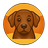 BacklinkDog Reviews