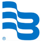 Badger Meter Reviews