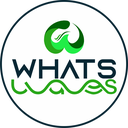 WhatsWaves Reviews
