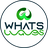 WhatsWaves Reviews