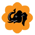 Big Data Trunk