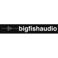 Big Fish Audio