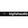 Big Fish Audio Reviews
