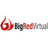 Big Red Virtual Reviews