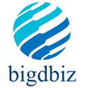 Bigdbiz HRM Reviews