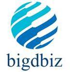 Bigdbiz Textile Apparel Management System Reviews
