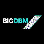 BIGDBM Reviews