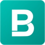 BigPicture Icon