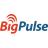 BigPulse Reviews