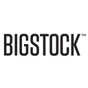 Bigstock Reviews