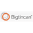 Bigtincan Reviews