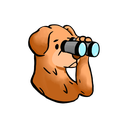 BirdDog Reviews