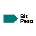 BitPesa Reviews