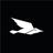 Blackbird