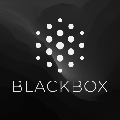 BLACKBOX AI