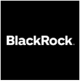 BlackRock 360 Evaluator