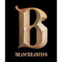 BLOCKLORDS Icon