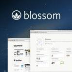 Blossom Reviews