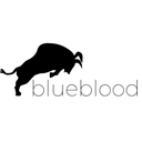 BlueBlood Trading Signals Reviews