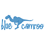 BlueCamroo Reviews