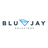 BluJay Augmented Global Trade Reviews